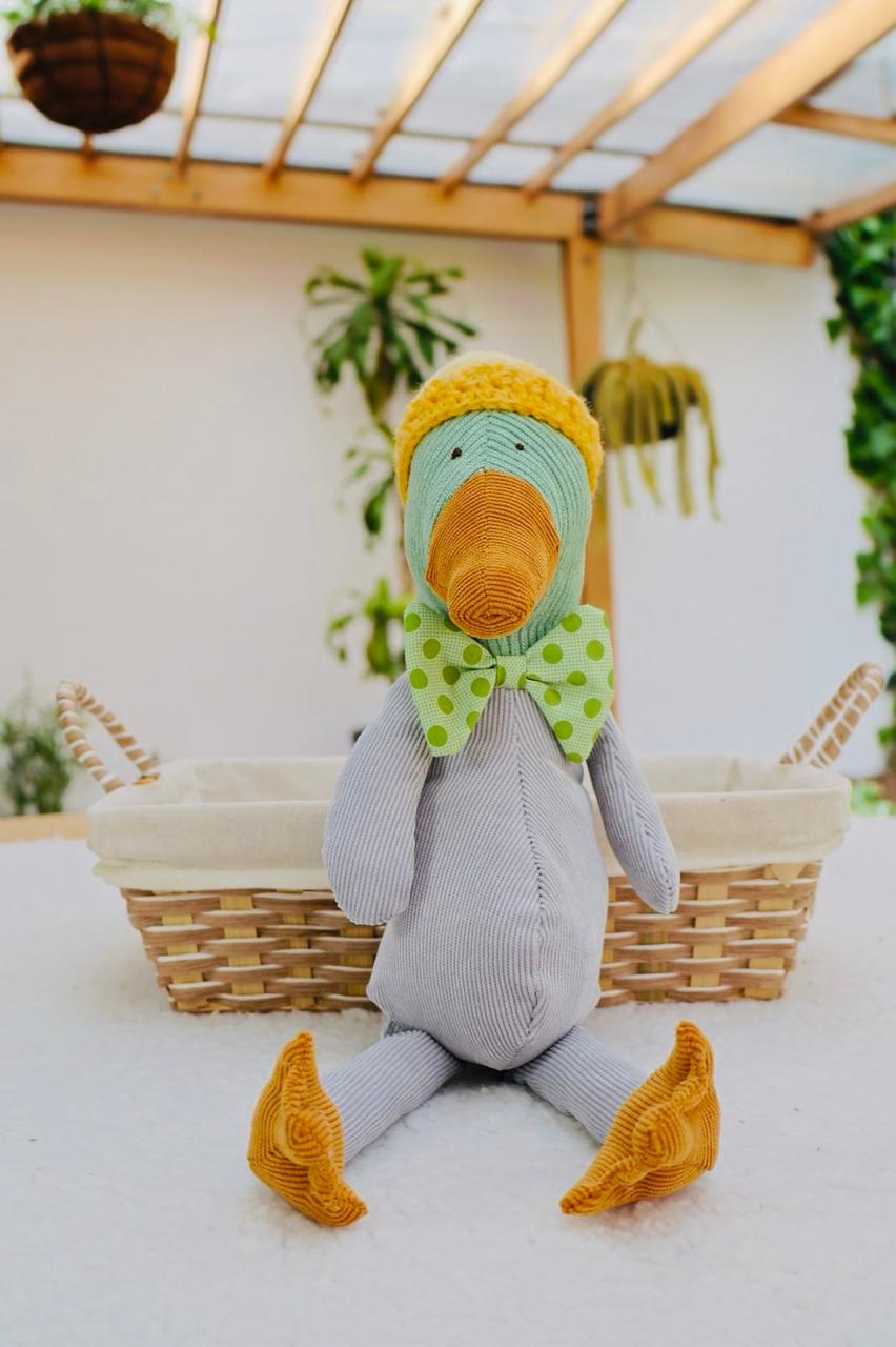 Pato bebé