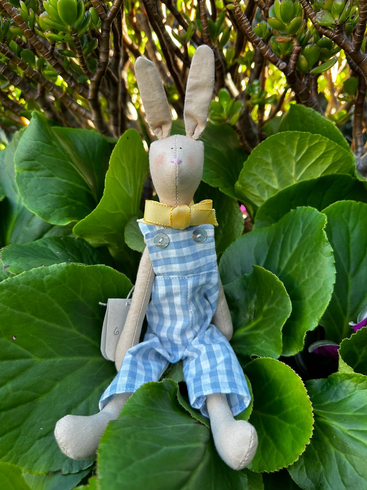 Conejos hares pequeños
