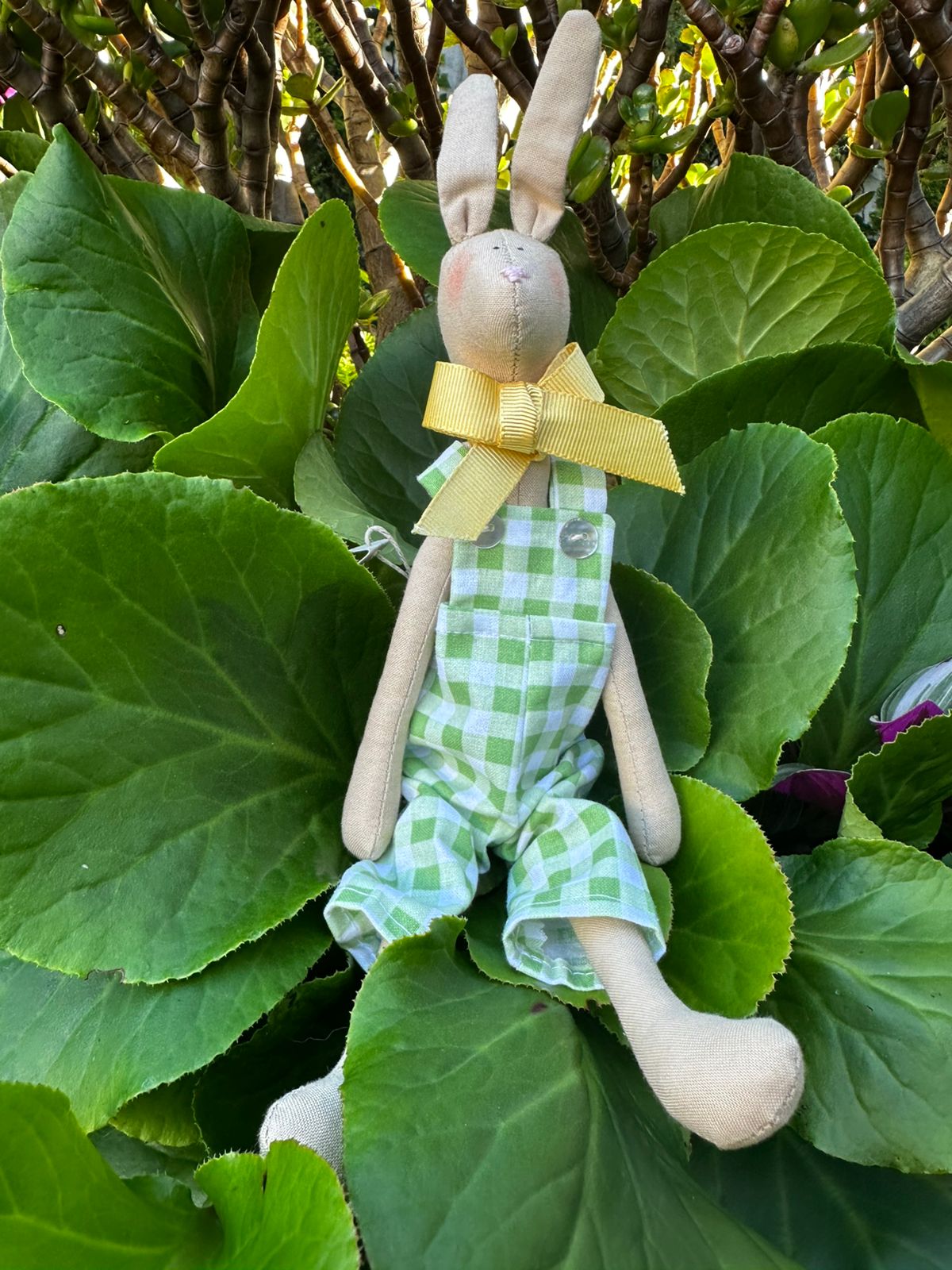 Conejos hares pequeños