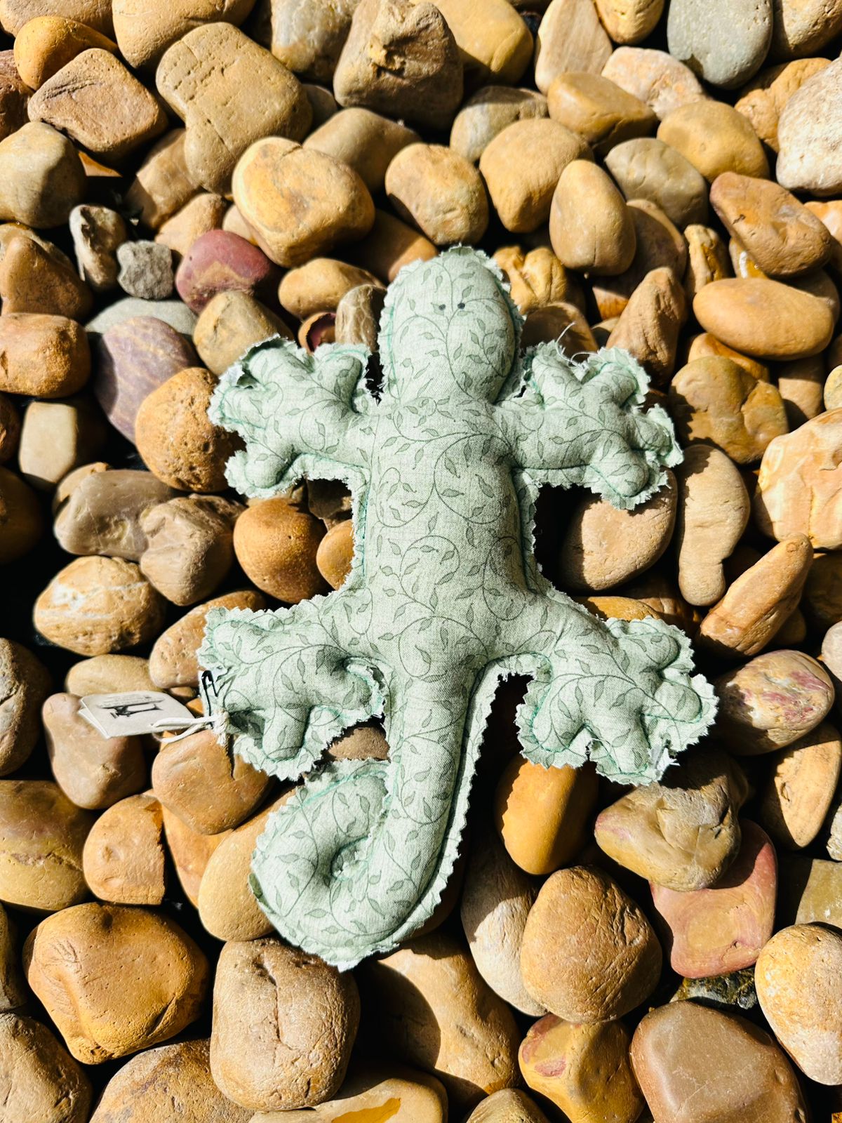 Lagartijas  pequeñas